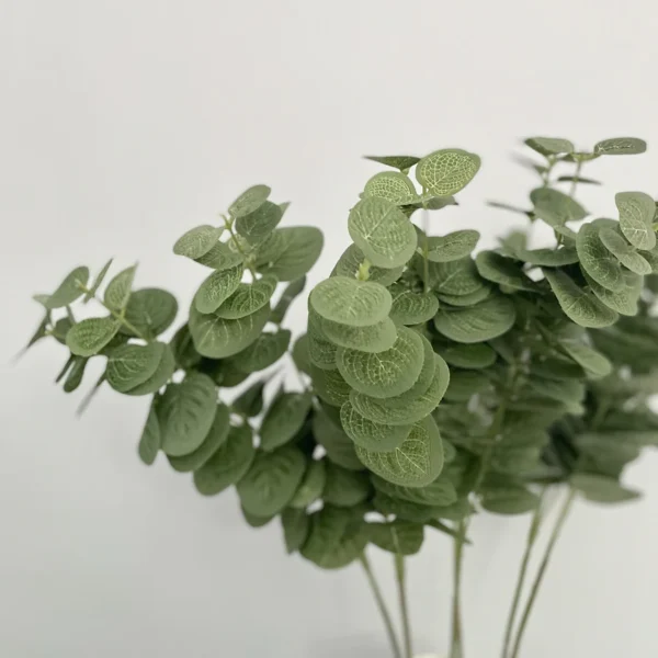 Eucalyptus Stem