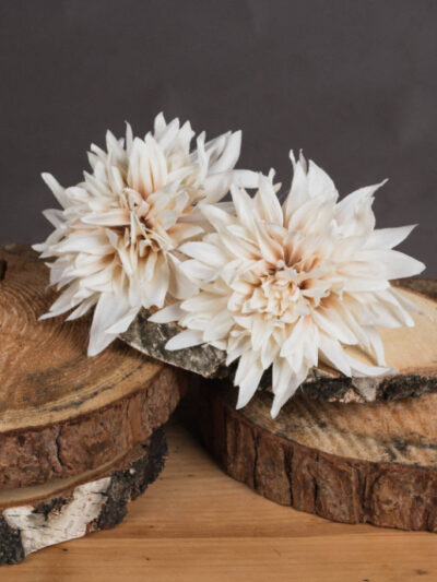 Café Au Lait Dahlia