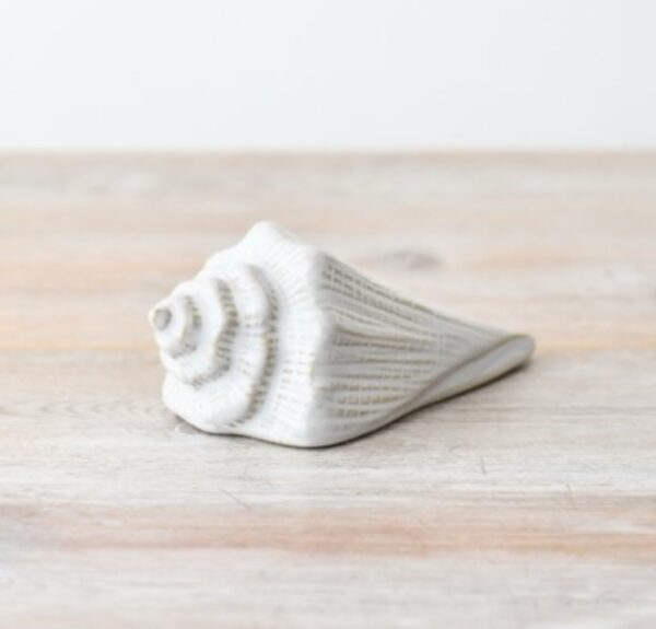 Shell Ornament