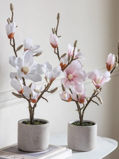 Potted Magnolia in White