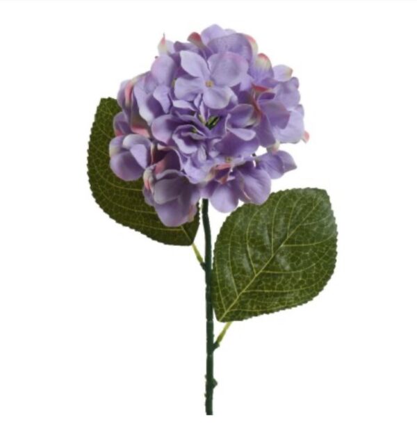 Purple Hydrangea Stem