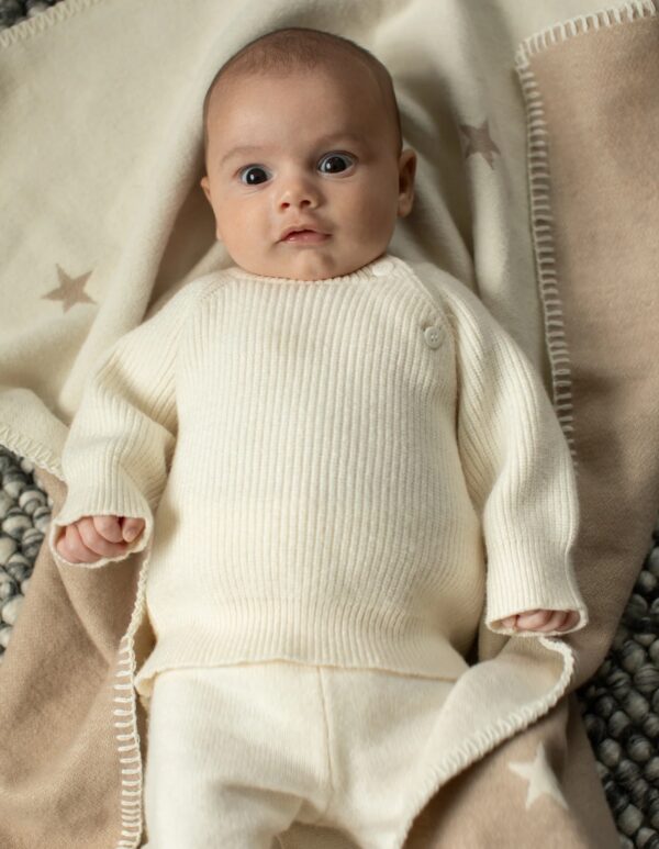 Fawn Reversible Blanket - Image 3