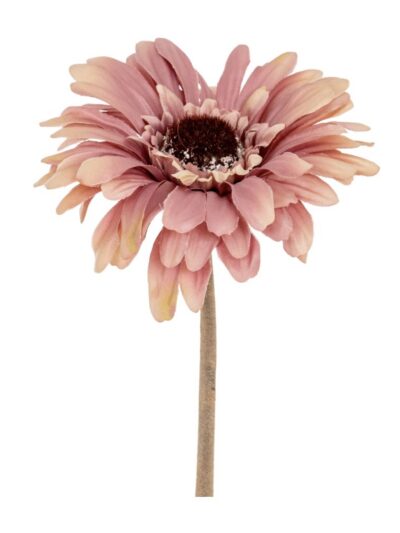 Pink Gerbera Stem