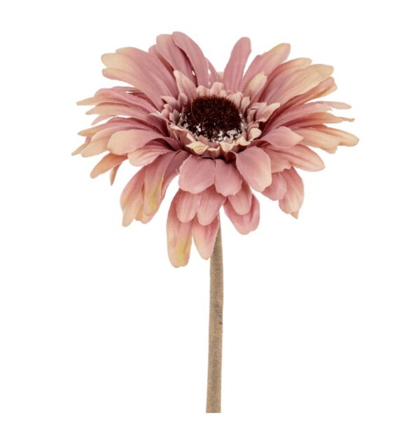 Pink Gerbera Stem