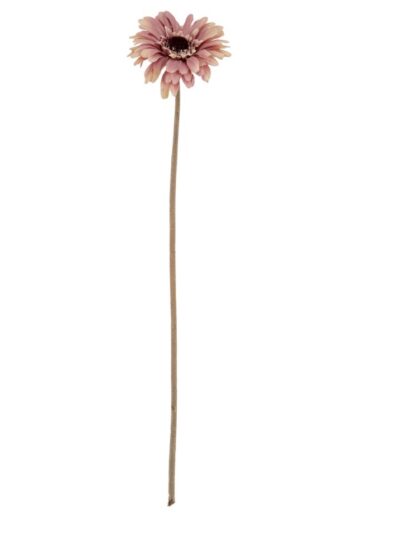 Pink Gerbera Stem
