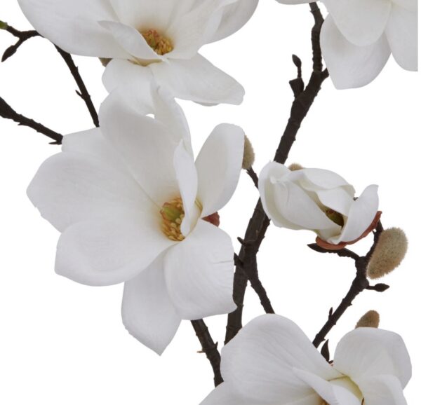White Magnolia Stem - Image 2