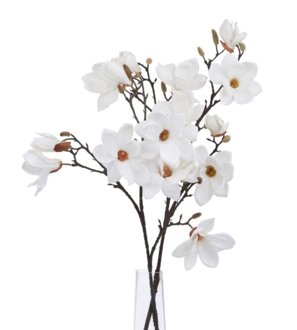 White Magnolia Stem - Image 3