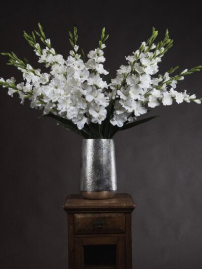 White Gladioli