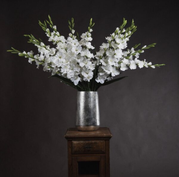 White Gladioli