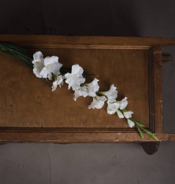 White Gladioli - Image 4