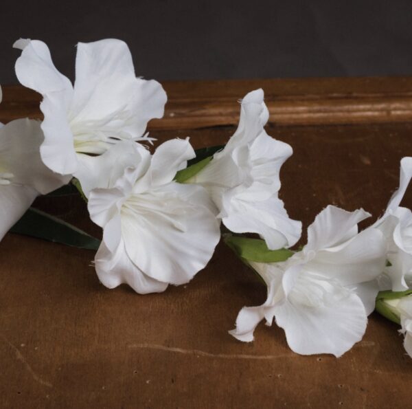 White Gladioli - Image 3