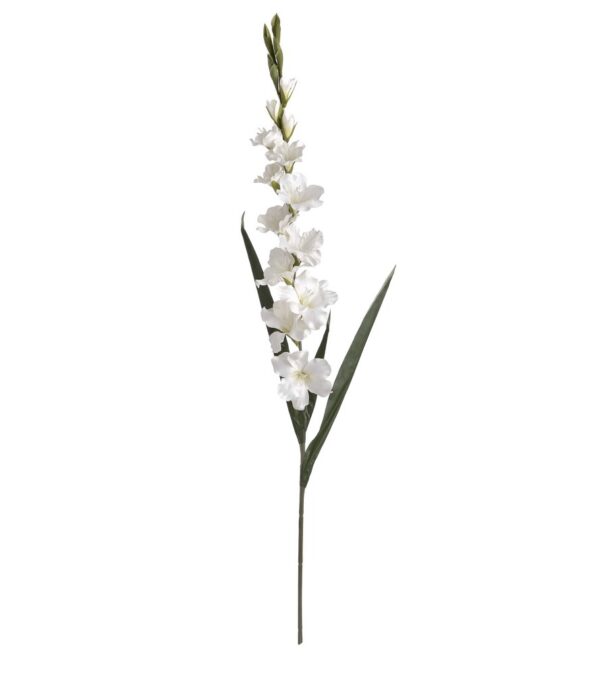 White Gladioli - Image 5