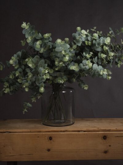 Eucalyptus Spray
