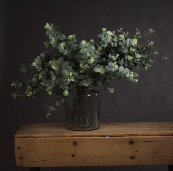 Eucalyptus Spray