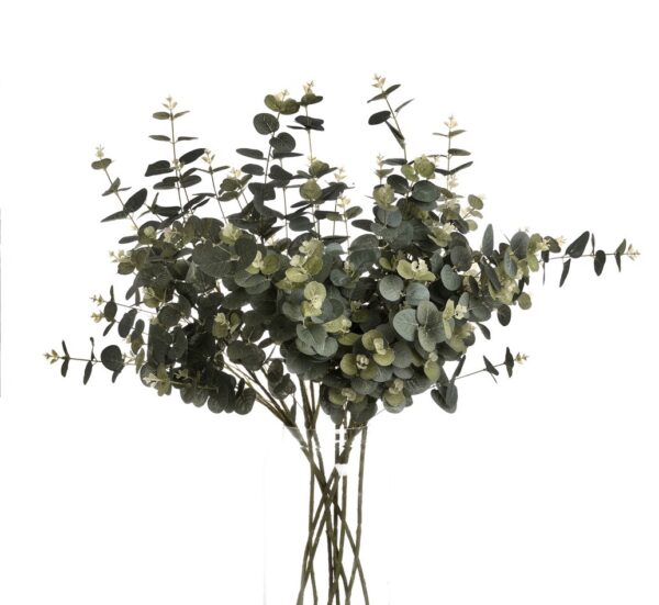 Eucalyptus Spray - Image 4