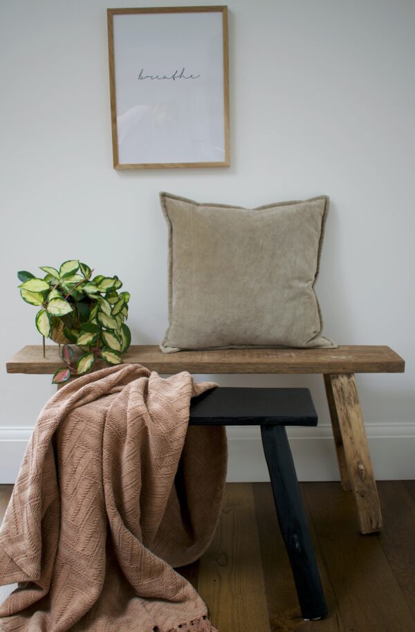 Velvet Cushion - Silver - Image 2