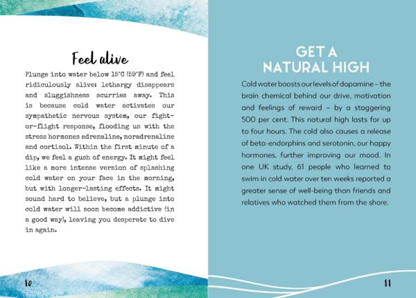 The Little Book for Wild Swimmers - Image 2