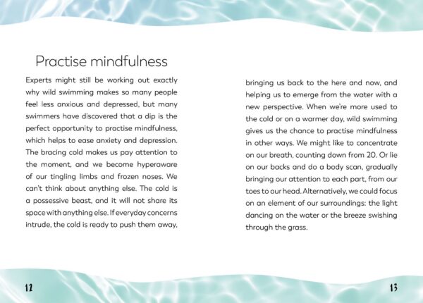 The Little Book for Wild Swimmers - Image 3