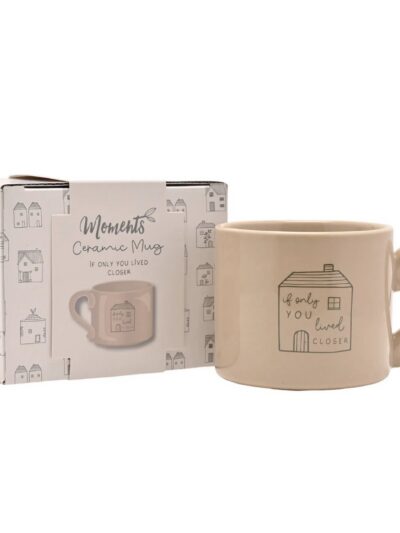 If Only You Lived Closer Mug
