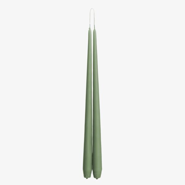 Taper Dinner Candles Pair: The Botanical Collection - Image 4