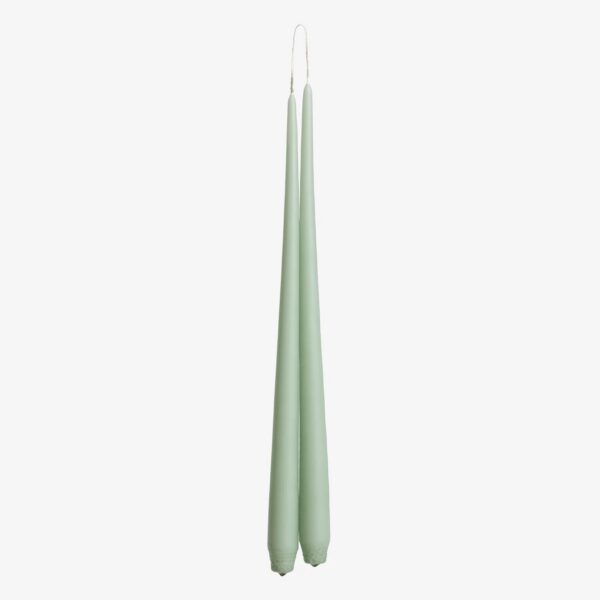 Taper Dinner Candles Pair: The Botanical Collection - Image 2